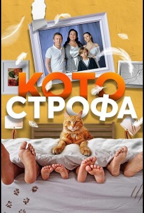 Котострофа